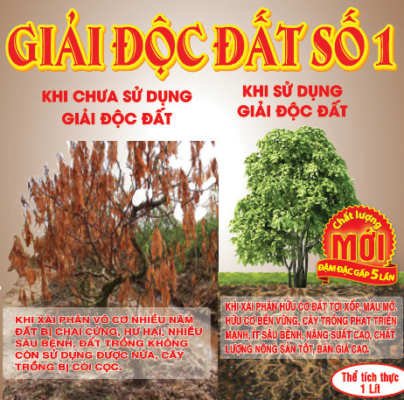 Sau Khi Sử Dụng Giải Độc Đất