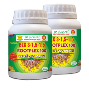 Thuốc kích rễ siêu mạnh Rootplex 100