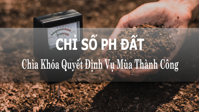 tầm quan trọng của pH đất trồng