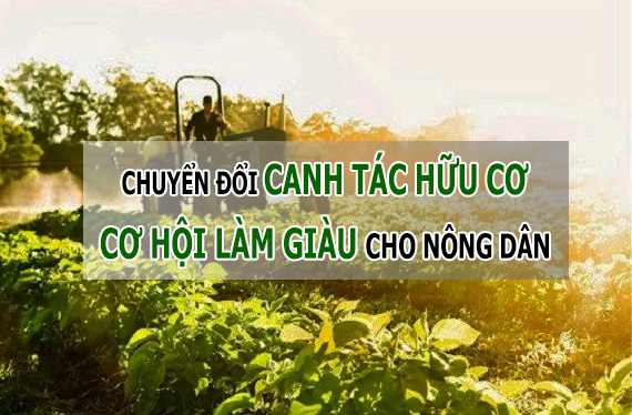 Chuyển đổi canh tác hữu cơ