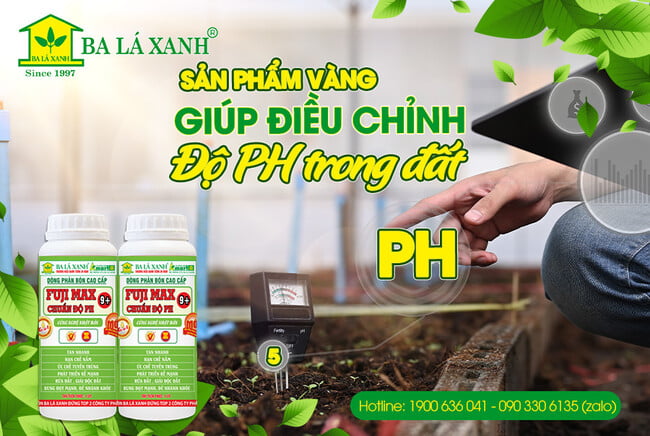 Balaxanh | Hỗ trợ cải tạo đất tốt nhất