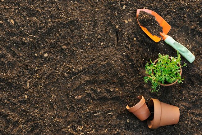Hiểu kỹ đất trồng để có thể canh tác hiệu quả nhất