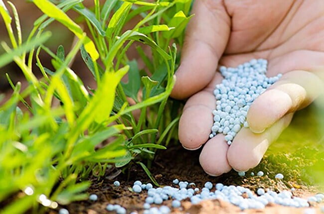 Lợi ích khi sử dụng phân bón lá đúng cách 2