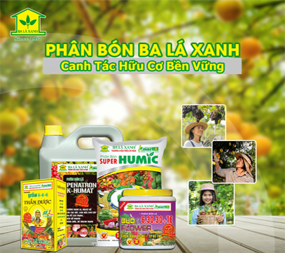 Nông nghiệp hữu cơ canh tác bền vững