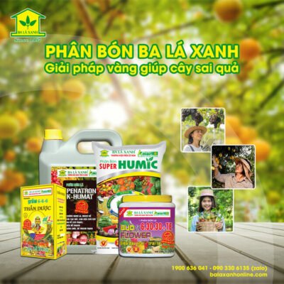 Balaxanh | Cung cấp phân bón hữu cơ cho cây trồng hiệu quả