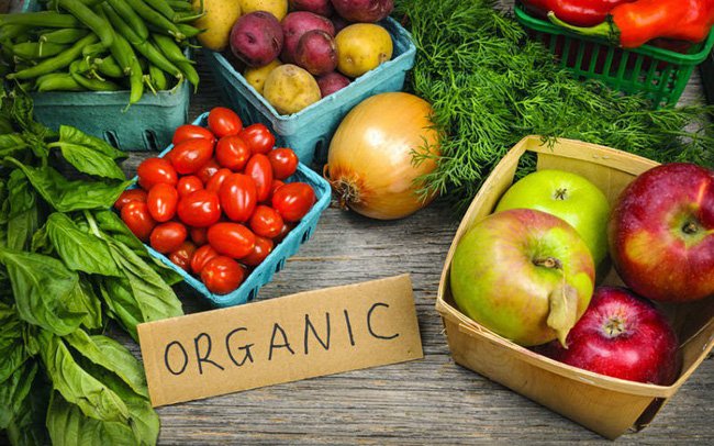 NÔNG NGHIỆP HỮU CƠ VÀ XU HƯỚNG TOÀN CẦU