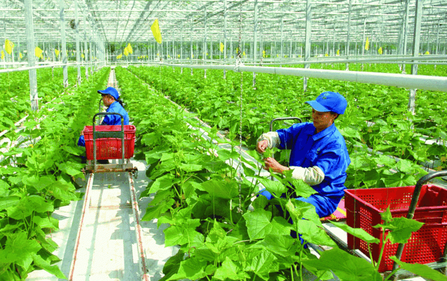 Vị thế nên nông nghiệp Việt Nam