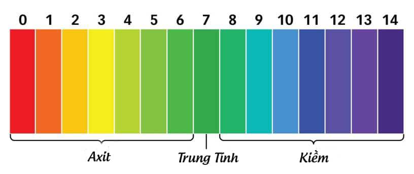 Độ pH là gì? Độ pH trong nước uống tác động đến sức khỏe như thế nào?